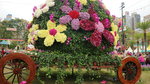 19032018_Canon EOS M3_Hong Kong Flower Show 2018_The Venue00046