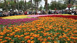 19032018_Canon EOS M3_Hong Kong Flower Show 2018_The Venue00049