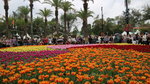 19032018_Canon EOS M3_Hong Kong Flower Show 2018_The Venue00050