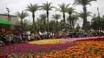 19032018_Canon EOS M3_Hong Kong Flower Show 2018_The Venue00052