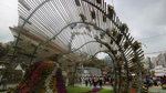 19032018_Canon EOS M3_Hong Kong Flower Show 2018_The Venue00067