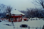 05 to 09 February 1999_First round to Hokkaido00032