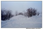05 to 09 February 1999_First round to Hokkaido00118