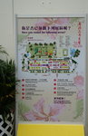 20032019_Sony A7 II_Hong Kong Flower Show_Venue_Victoria Park00001