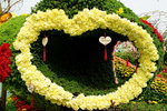 20032019_Sony A7 II_Hong Kong Flower Show_Venue_Victoria Park00046