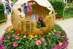 20032019_Sony A7 II_Hong Kong Flower Show_Venue_Victoria Park00053