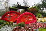 20032019_Sony A7 II_Hong Kong Flower Show_Venue_Victoria Park00069