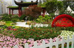 20032019_Sony A7 II_Hong Kong Flower Show_Venue_Victoria Park00074