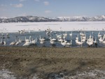 2004 Hokkaido
Swan Lake (1)