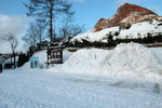 (12)2006 February_Hokkaido Yuki Matsuki_登別熊牧場00008