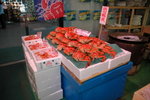 (17)2006 February_Hokkaido Yuki Matsuri_海鮮御殿場0000005