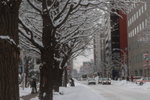 Hokkaido Day Two005_大通公園雪節