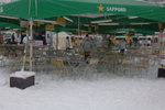 Hokkaido Day Two017_大通公園雪節