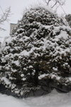 Hokkaido Day Two012_大通公園雪節
