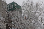 Hokkaido Day Two026_大通公園雪節
