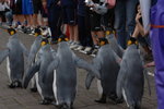 29072008_Hokkaido_旭川動物園00016