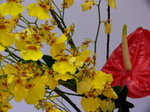 15052009_Asian Flower Art Exhibition at Taikooshing00031