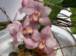 15052009_Asian Flower Art Exhibition at Taikooshing00035