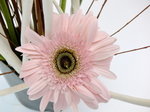 15052009_Asian Flower Art Exhibition at Taikooshing00049