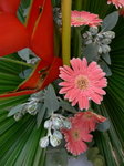 15052009_Asian Flower Art Exhibition at Taikooshing00050