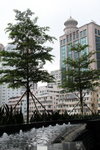 16112012_Causeway Bay Snapshots00003
