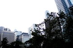 08122012_Central District Snapshots00011