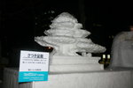09022012_Hokkaido_Otori Koen Yuki Matsuri_Snow Statues00058
