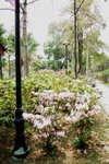 24032012_Kowloon Walled City Park00001