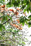 24032012_Kowloon Walled City Park00006