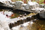 24032012_Kowloon Walled City Park00033