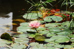 24032012_Kowloon Walled City Park00034