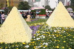 20032012_Hong Kong Flower Show@Victoria Park_Daisy00006