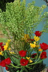 15032013_Hong Kong Flower Show 2013_Ikebena00001