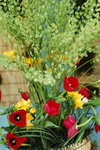 15032013_Hong Kong Flower Show 2013_Ikebena00003