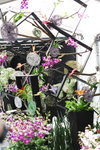 15032013_Hong Kong Flower Show 2013_Ikebena00009