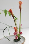 15032013_Hong Kong Flower Show 2013_Ikebena00010