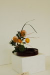 15032013_Hong Kong Flower Show 2013_Ikebena00012