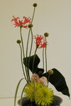 15032013_Hong Kong Flower Show 2013_Ikebena00015