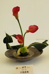 15032013_Hong Kong Flower Show 2013_Ikebena00016