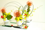 22032013_Hong Kong Flower Show 2013_Ikebena00009