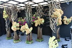 22032013_Hong Kong Flower Show 2013_Ikebena00014