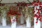 22032013_Hong Kong Flower Show 2013_Ikebena00020