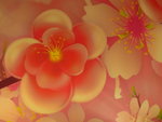 18012013_Telford Garden Orchid Show00007