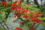 12062013_Sunny Bay Snapshots00007