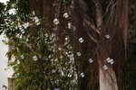 26012013_Sunny Bay Snapshots00006