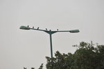 26012013_Sunny Bay Snapshots00009