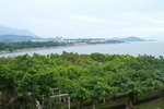 20012013_Taipo Waterfront Park Snapshots00010