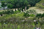 20012013_Taipo Waterfront Park Snapshots00014