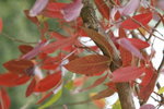 20012013_Taipo Waterfront Park Snapshots00020