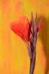 12102014_Shek O Snapshots00005